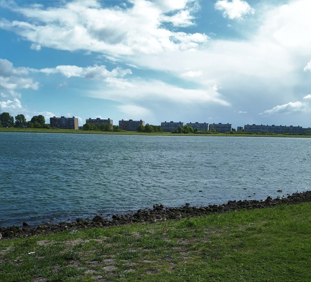 De meisjes van de&nbsp;waterkant