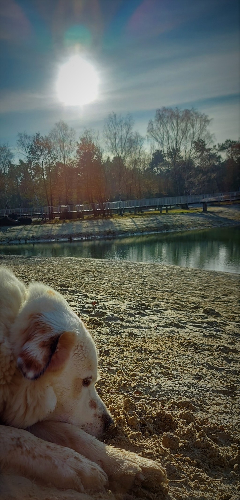 Strakke leggings op een&nbsp;fietsje